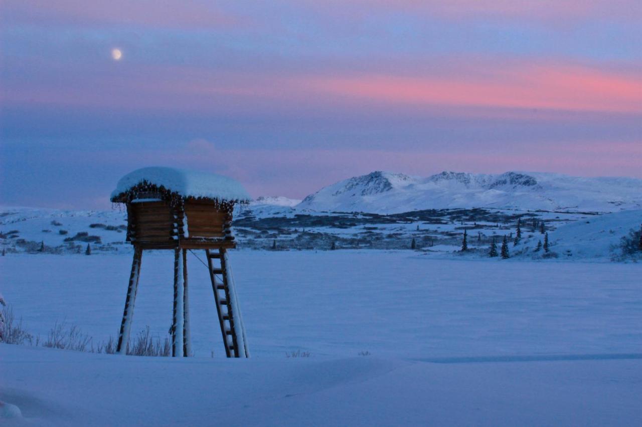 Caribou Lodge Alaska Talkeetna Exterior photo